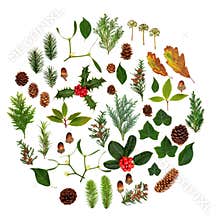 Winter Flora and Fauna Abstract