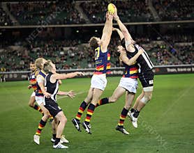 MELBOURNE - AUGUST 21: Adelaide's
