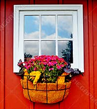 Fall Window Box On The Farm