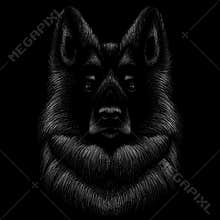The Vector logo dog  or wolf for tattoo or T-shirt design or outwear.  Cute print style dog  or wolf  background.