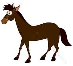 Horse cartoon illustrations