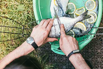 Hands of a man on top who cuts fresh and raw fish. With lemon and parsley in a green plastic basin in the garden in