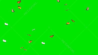 Fluttering butterflies with green screen background