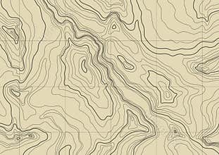 Abstract topographic map. vector