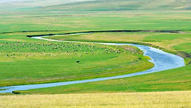 Inner mongolia pasture