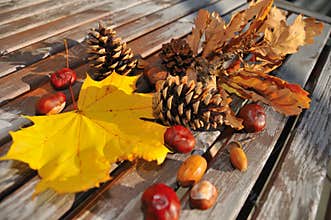 Autumn