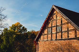 Autumn window in old brick wall covered with leaves in red color. Autumnal fall house atmosphere in sun day.