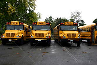 School Buses