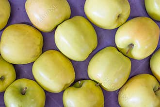 Golden Delicious Apples