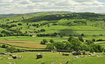 Yorkshire Dales, fields and meadows