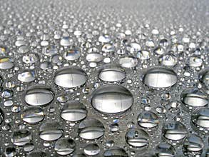 Water Drops