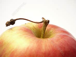 Apple.