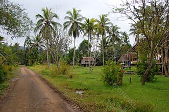 Village in Papua New Guinea