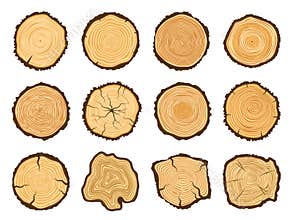 Tree trunk cross section. Round pine logs, forest wood circle and tree rings vector illustration set