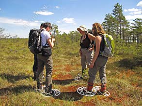 Snowshoe hike