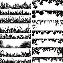 Plant borders