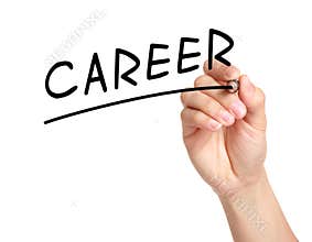 Writing Career