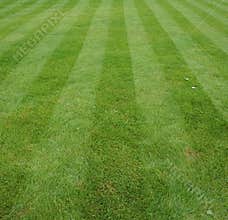Lawn cut with stripes