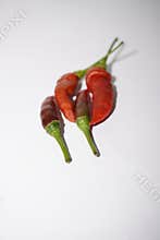 fresh chilies on white paper