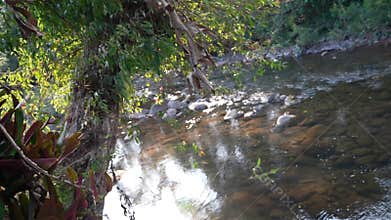 Clear Stream Flowing Over Rocks Nature's Serenity Mang River in Nan , Thailand.