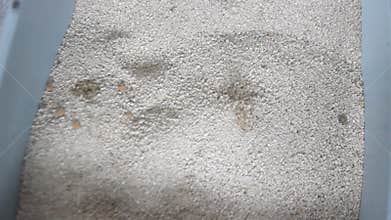 Close Up of Cat Litter Texture