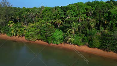 Rainforest, sandy wild beach and calm ocean. Best aerial view flight drone