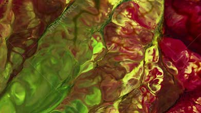 Slow Motion Macro Abstract Pattern Artistic Concept Color Surface Moving Surface Liquid Paint Splashing Art Design Texture