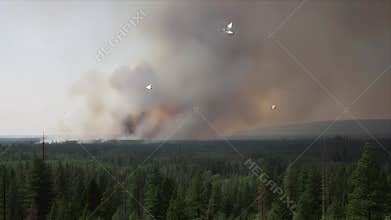 Forest Fire Engulfs Landscape, Aerial Drone Footage