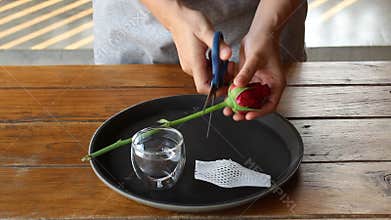 Woman Picked Single Red Rose To Glass