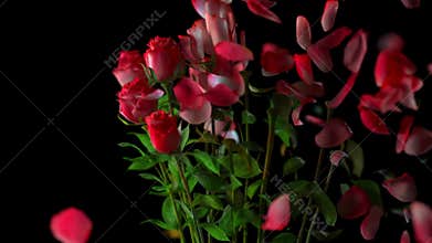 Broken bouquet of roses