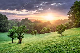 A landscape of a sunlit meadow with scattered trees and a sunrise at Baringer Hill Cherokee Park.