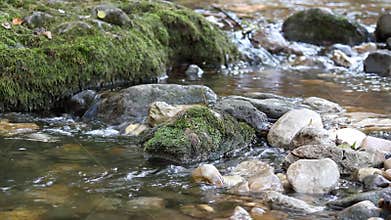 Mountain stream nature scene