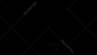 Greek philosopher Socrates