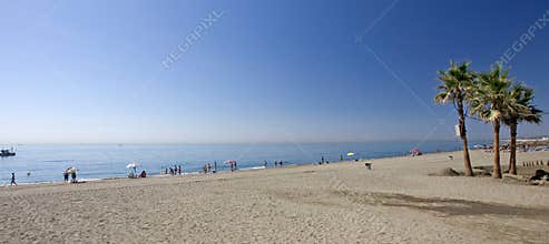 Sandy beach with palm trees at Estepona in Southern Spain