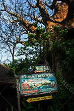 Disney World Kilimanjaro Safari Animal Kingdom
