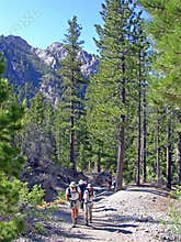 Seniors hiking in Spring Mountains near Las Vegas. NV.