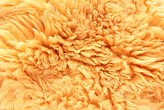 Sheep skin