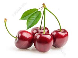 Cherries isolated