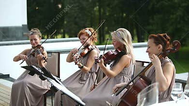 Musical quartet. Three violinists and cellist playing music. Medium shot.