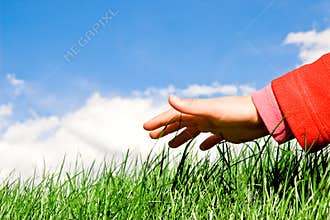 Hand upon the grass