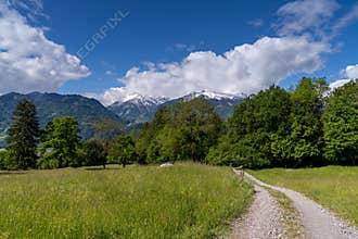 gravel road leading through mountain heath and forest with snow-capped mountains in the background