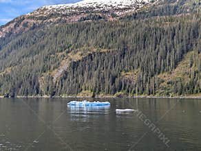 Glacier Ice on the waters of Endicott Arm