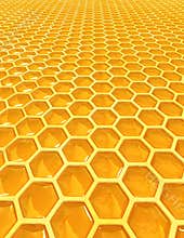 Honey cells