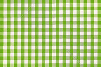 Detailed green picnic cloth