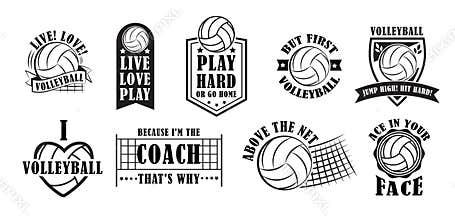 Volleyball logo set, vector illustration