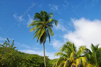 Grande Anse d`Arlet - Martinique