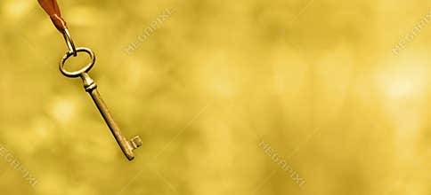 Life coaching banner in gold