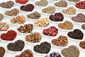 Herb Teas for Alternative Medicine