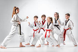The studio shot of group of kids training karate martial arts