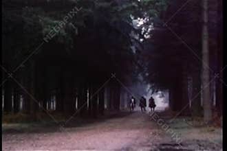 Men on horseback riding through forest
